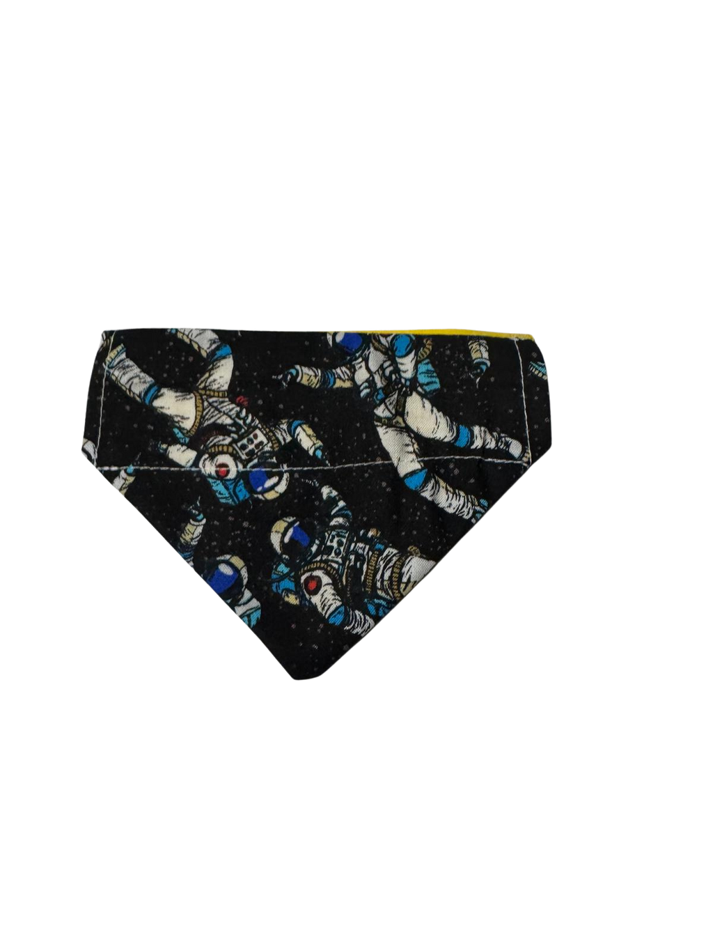 Space Explorer Bandana