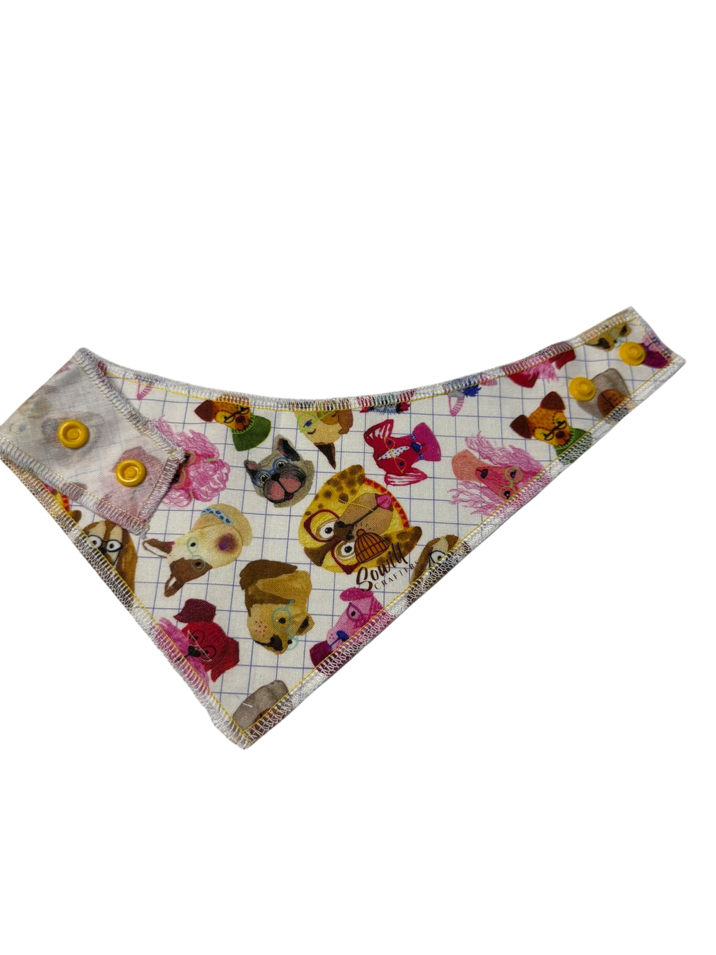 Playful Paws Multicolor Dog Bandana