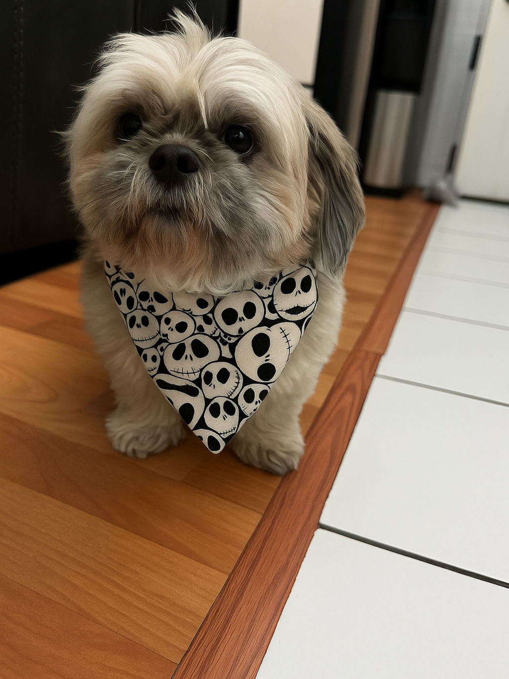 Spooky Skull Dog Bandana