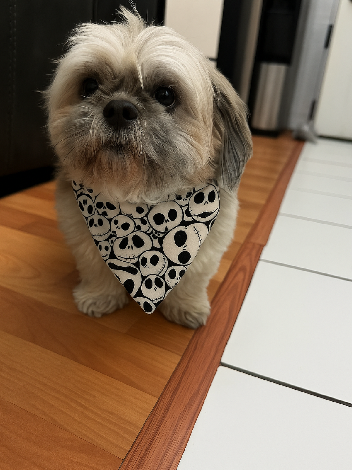 Spooky Skull Dog Bandana