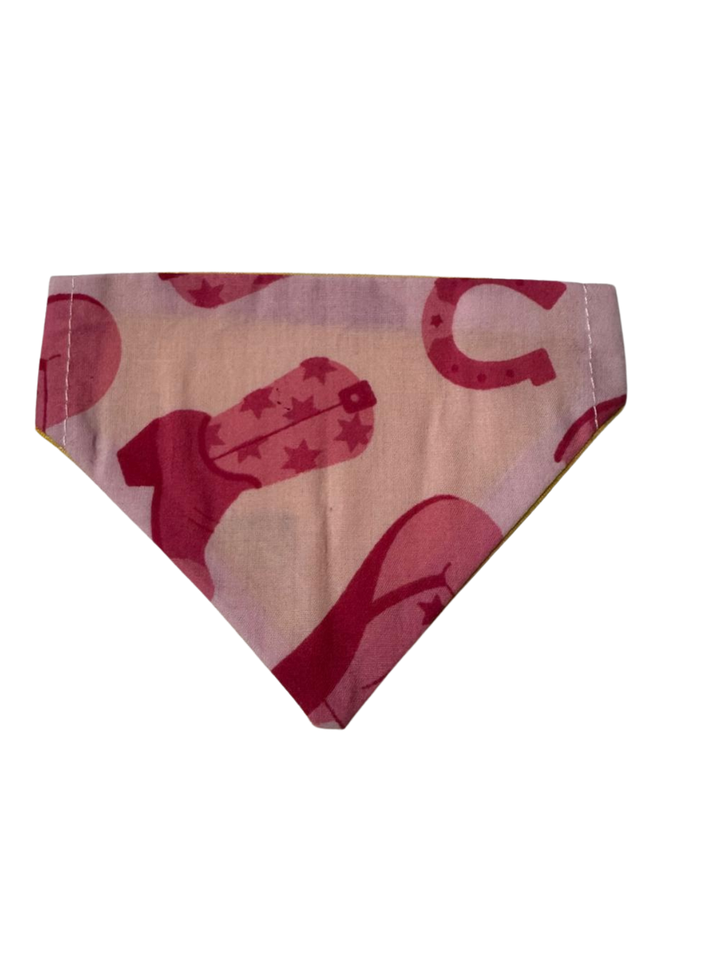 Western Style Bandana