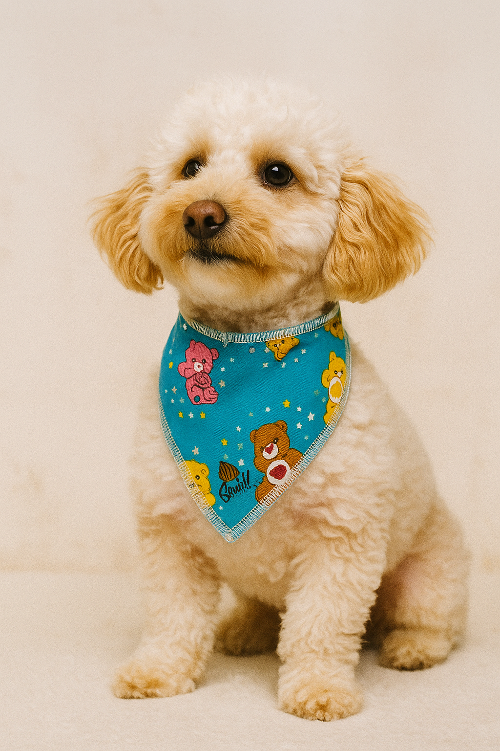 Care Bear Dreams Bandana Single Button