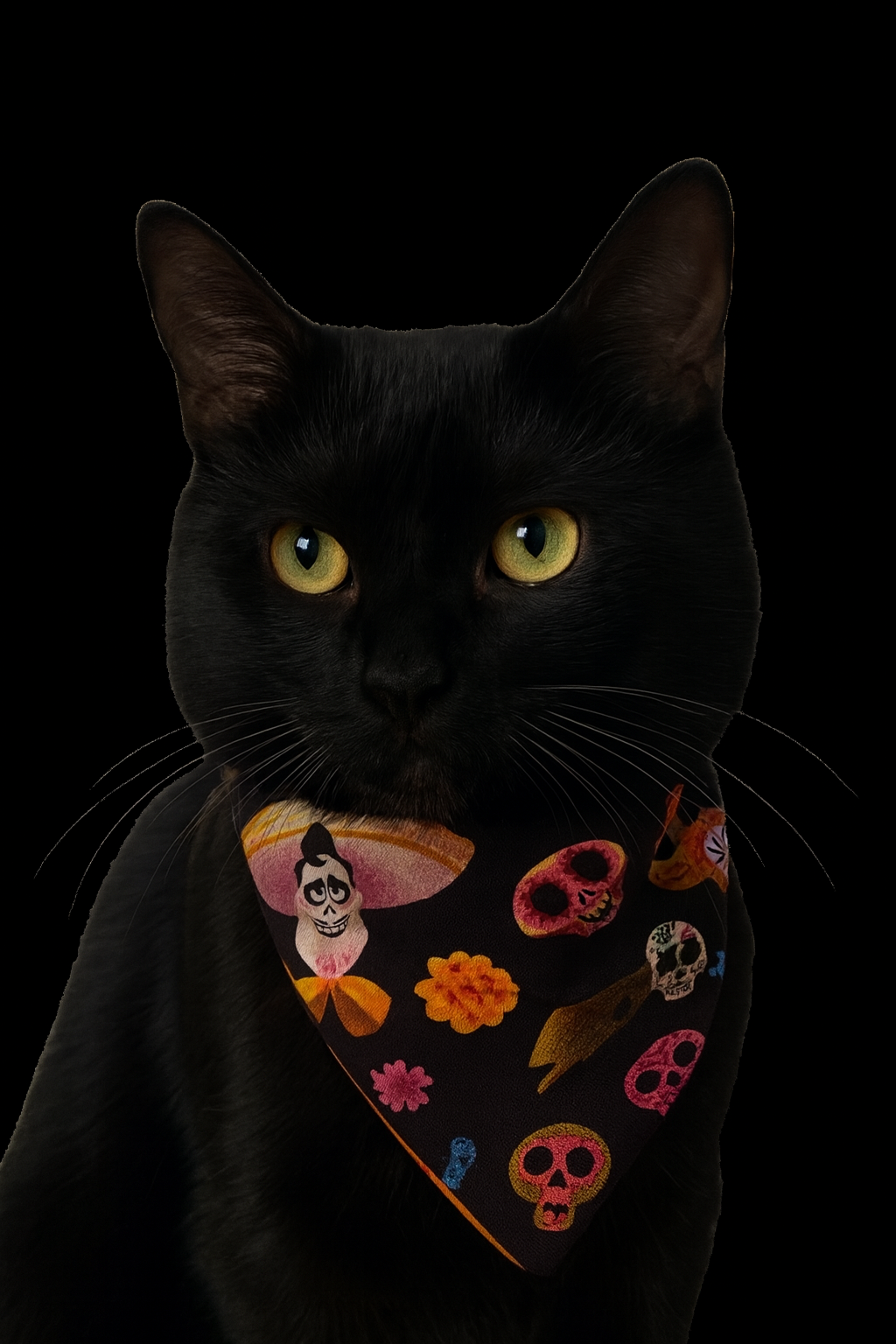Day of the Dead Bandana