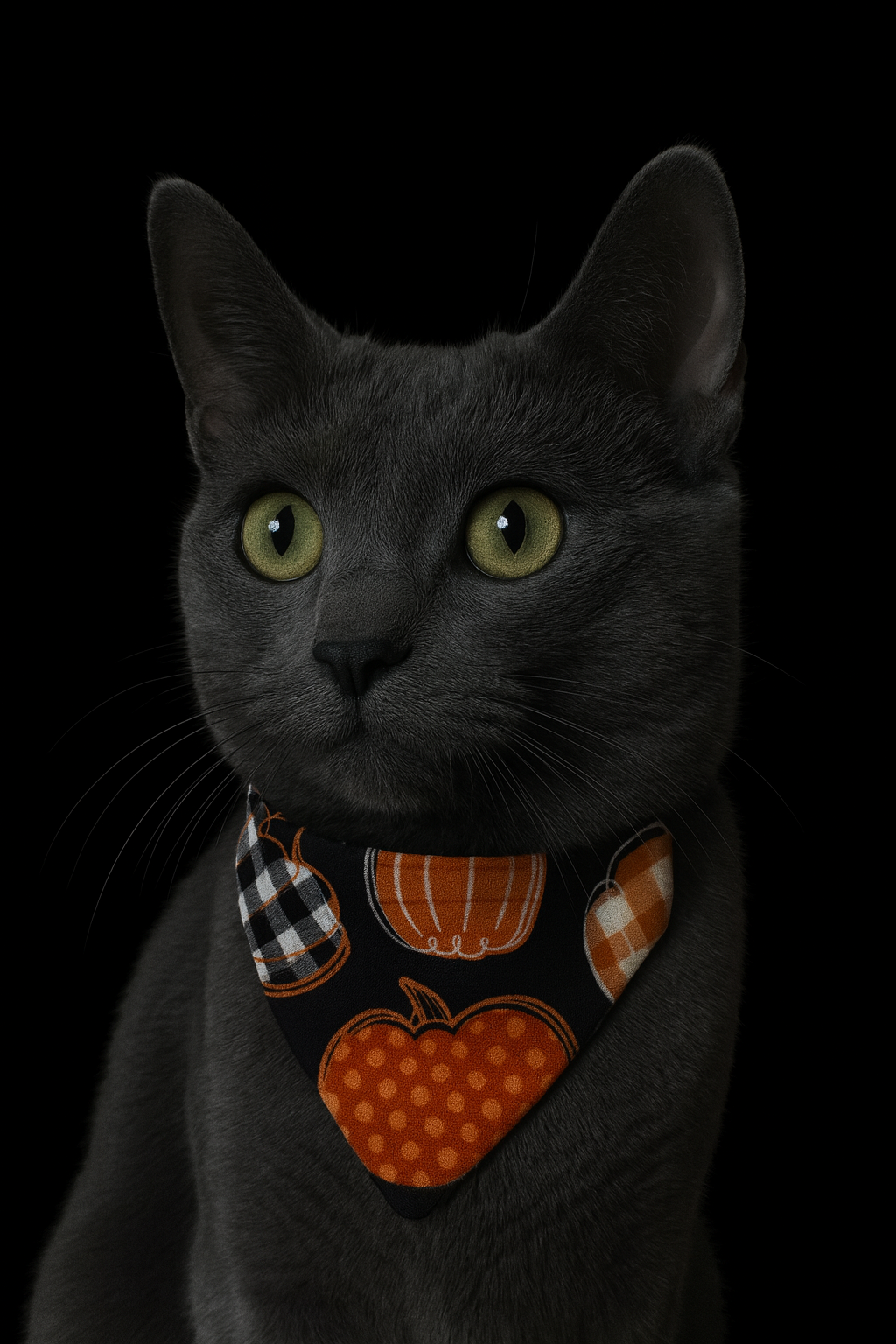Plaid Pumpkins Cat Bandana
