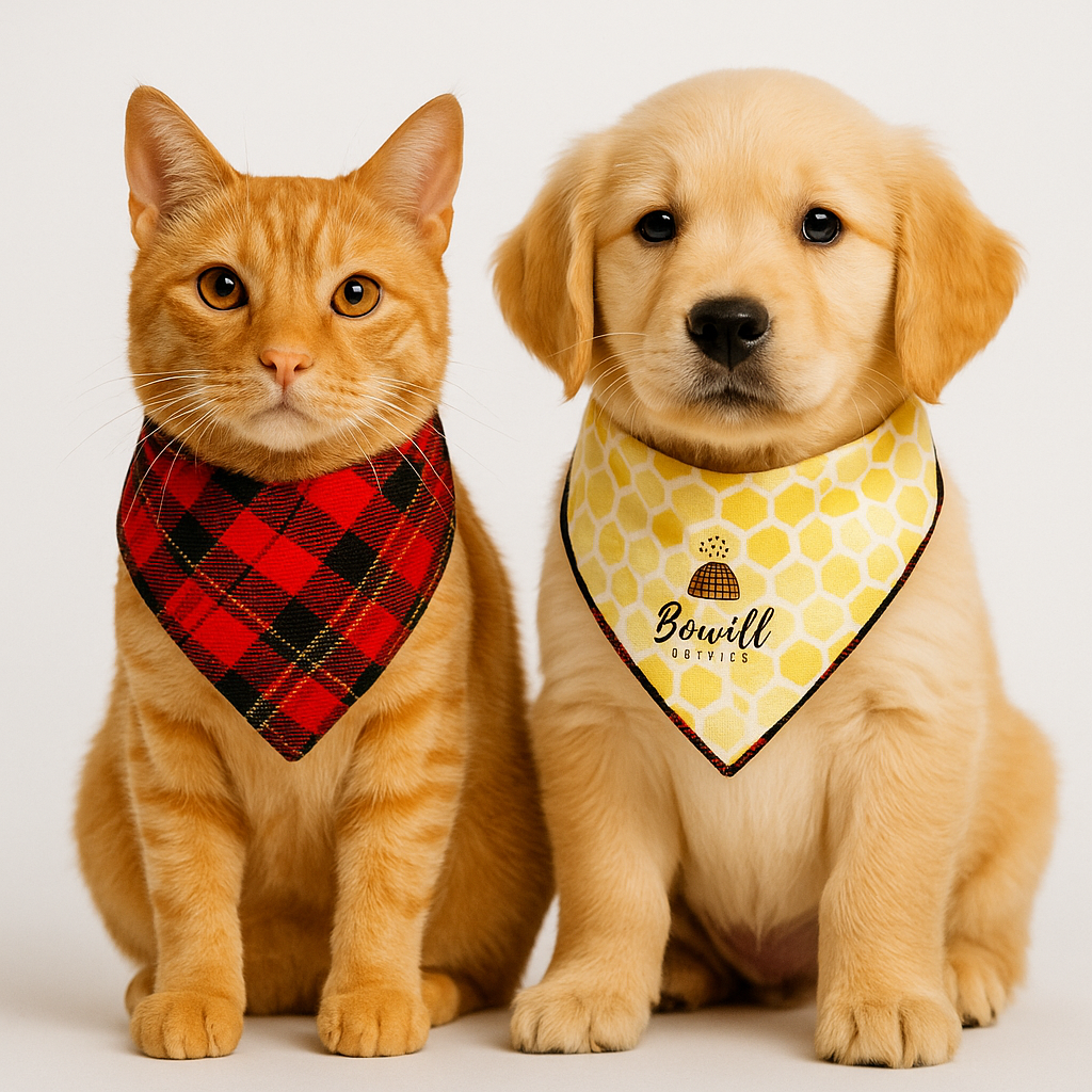 Honey &amp; Plaid Reversible Bandana