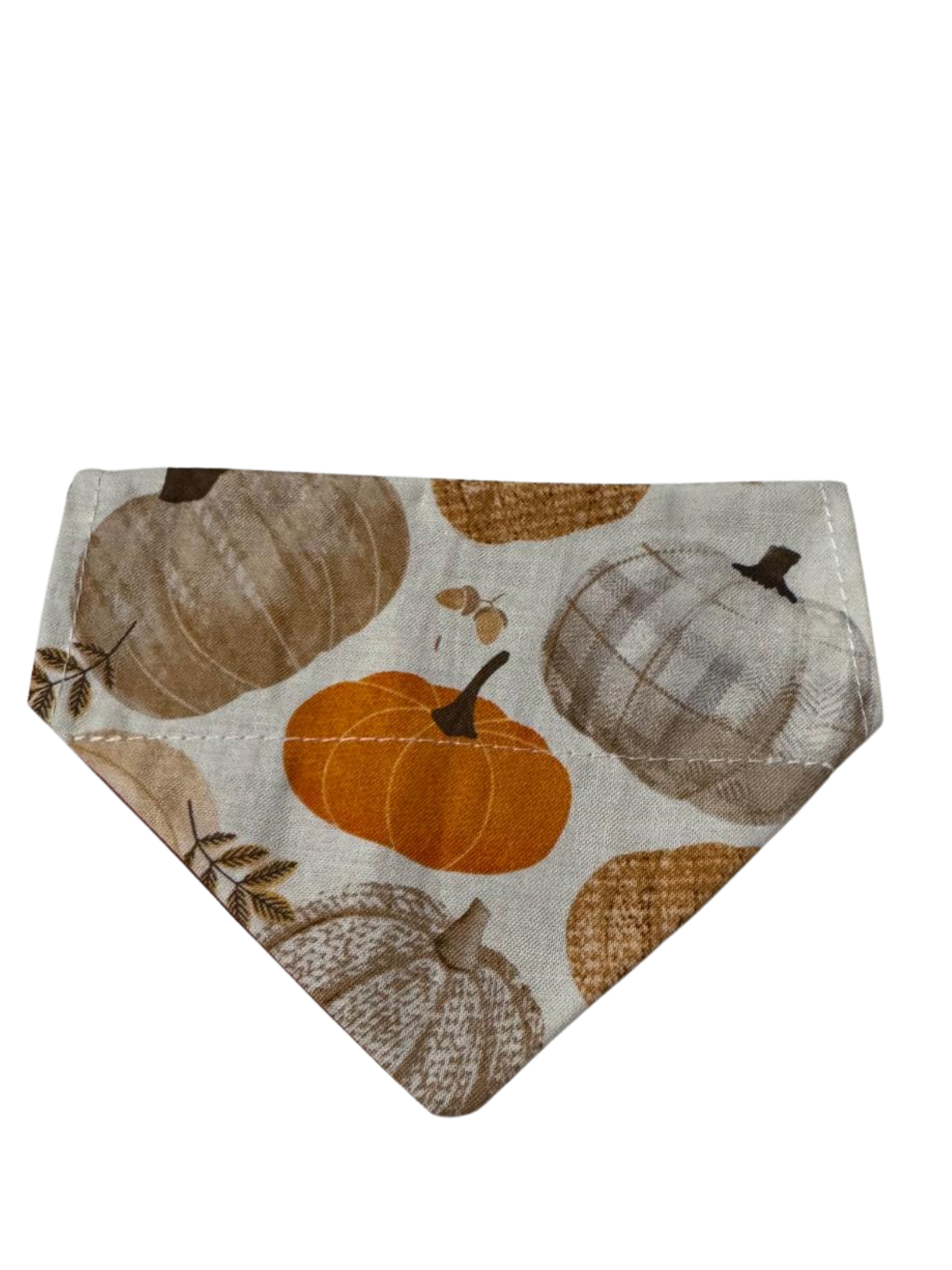 Pumpkin Patch Cat Bandana