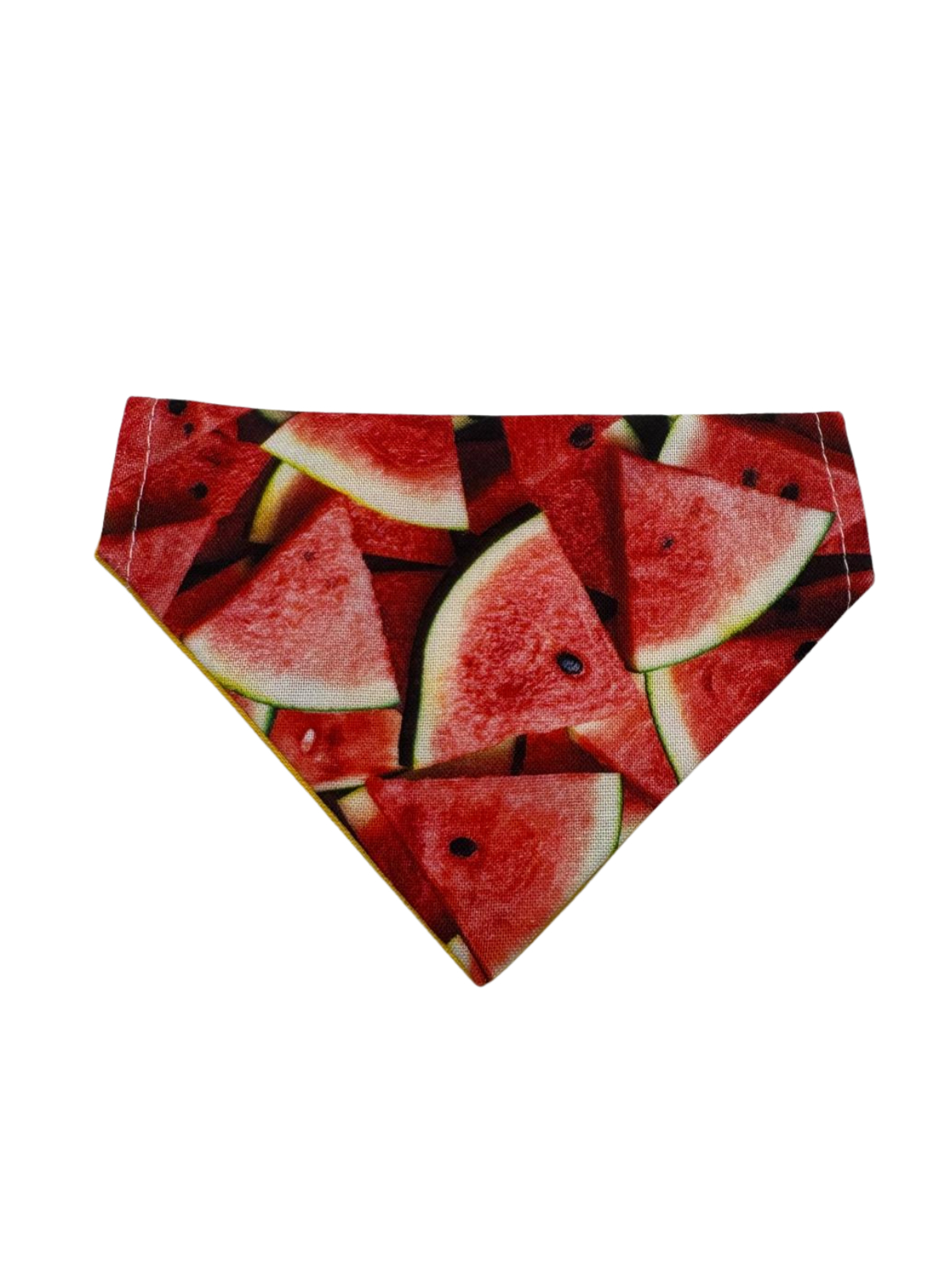 Watermelon Cat Bandana