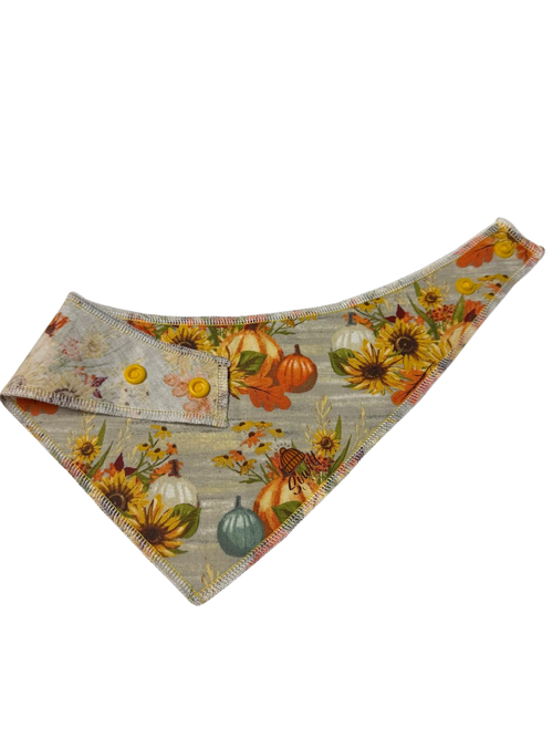 Autumn Harvest Floral Dog Bandana – Snap-On Style